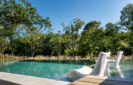 The Locust - Custom Luxury Pool Nashville